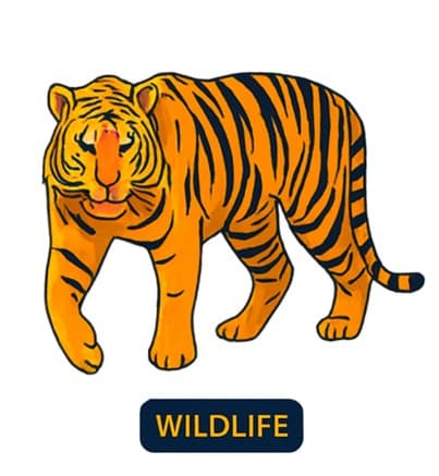 WILDLIFE icon
